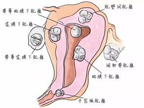 1）情绪变化波动与生理状况周期