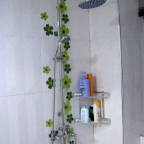 龙头在家里怎么摆放,小龙头在室外的风水