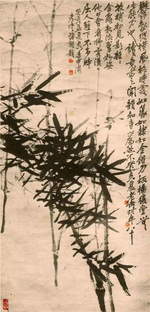 起名改名:从“松柏”到“坚韧”