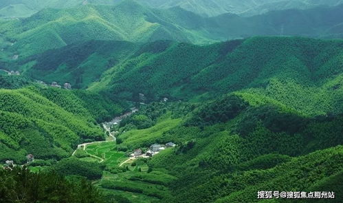 震泽古镇的“捆绑销售”：半价门票背后藏着“隐性消费”