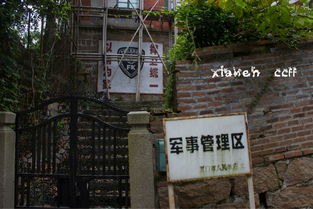 那些年的购物车回忆