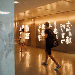 八、 现场实景+AR/VR混搭——沉浸式花卉列车之旅（武汉特供）