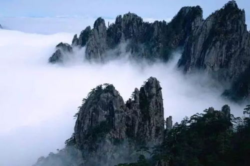 门票买到手时的心理状态战