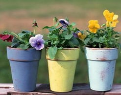 风口不能放？那放哪？