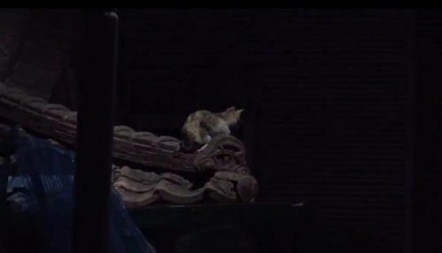 神秘访客与奇门遁甲