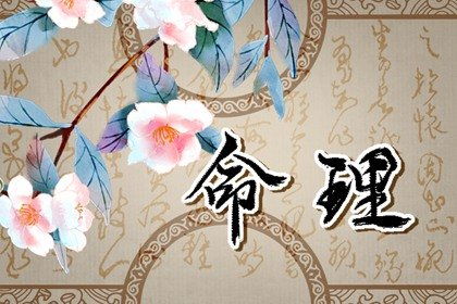 日支正财坐正财的八字日柱，这样的组合有什么特殊含义或影响？
