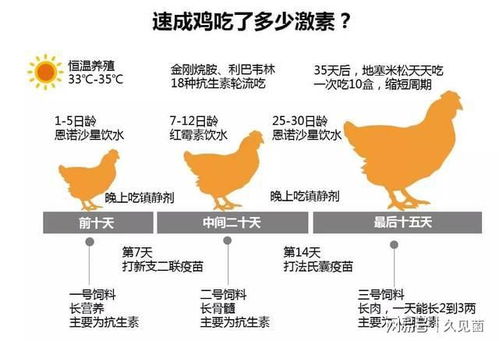 社会周边环境生活和可靠方面的考虑
