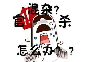 女命官杀财混杂，如何平衡婚姻与事业选择？