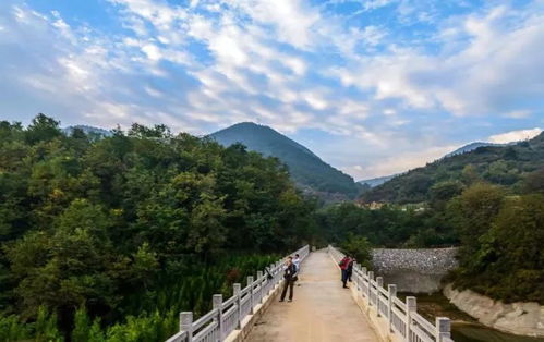 交通指南：地狱级难度
