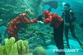 左海海底世界：较深海里的浪漫邂逅