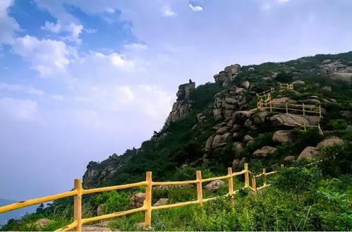 九莲花山（九莲山）——花开时节不止一次！