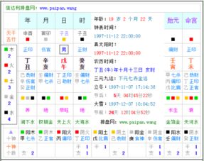 二、 生辰八字：日干与时支的摇摆