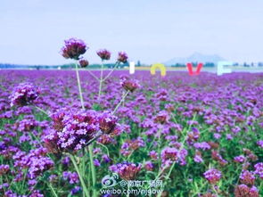 交通运输细节与贴士
