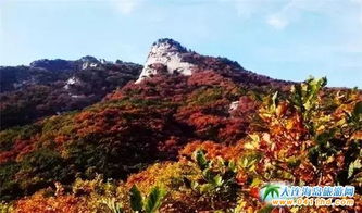 老帽山？就是个土包子山！