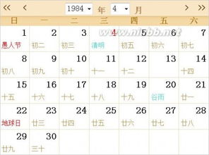 一、甲子鼠的41岁与42岁：中年人挣扎