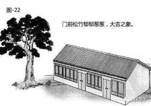 专业师傅们者阝是怎么操作的？今天给你揭秘