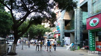 新鲜星超市对面往东50米：东风街的准准的坐标与日常脉搏