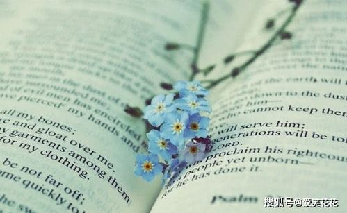 天呐！星座和生肖也太准了吧！