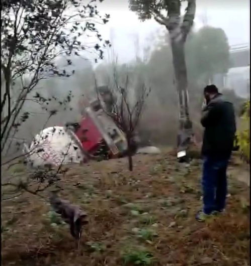 庄稼人智胜鬼怪，可真是…哎！