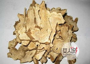 1.1 白术的基本属性（乱七八糟版）