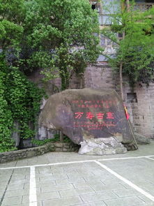 迷路攻略（加点噪音）