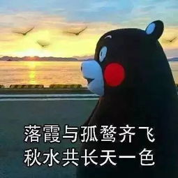 梦见大浪翻滚，预示着什么？