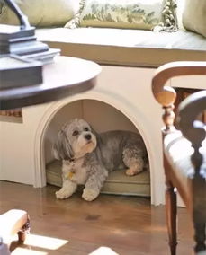 最近过得跟狗窝似的？