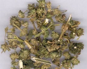 第一章：高血压与天地玄黄的神秘联系