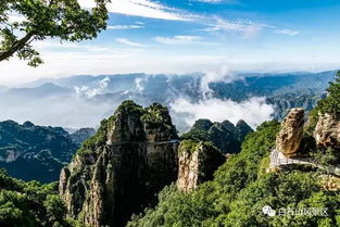 啊！这该死的旅行：一场被现实暴击的荒诞冒险