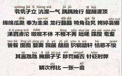 前言：为哪些“王真实”值得被聊聊？