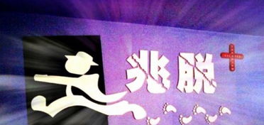 别被低价冲昏头脑！体验才是王道