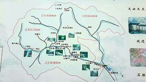 2025年真实案例大起底！这些骚操作你敢学吗？