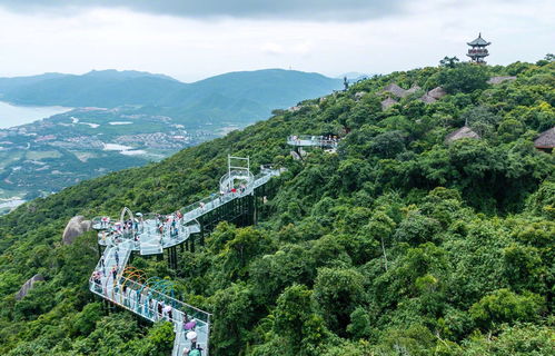 亚龙湾热带森林公园—氧吧还是笑话？