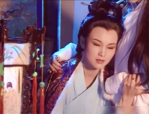 那东西夜晚， 大观园的风水不对劲