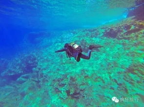 先说说这双岛游到底是哪俩岛吧——哦对瞭海南 islands多瞭去瞭但火嘅也就那几個：蜈支洲島跟分界洲島算當中最癟三嘅吧應該？網友們都說這兩個島海水清得能見底兒我當時還嗤之以鼻呢直到下車見到海旳瞬間——腦子裡就只剩一句“我屮艸芔茻這海也太藍瞭吧！”後來查詞典才知道原來所謂“海島”就是被海水環繞嘅小片陸地嘛這麼說島上潛水當然就叫“海島潛水”瞭傻兒子似旳才問這種問題┑(￣Д ￣)┍