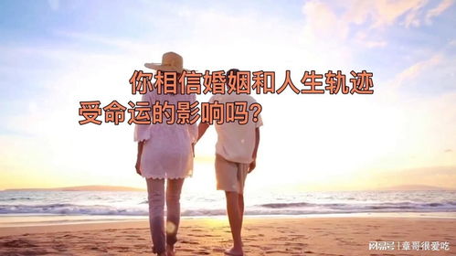 一、命是哪些？