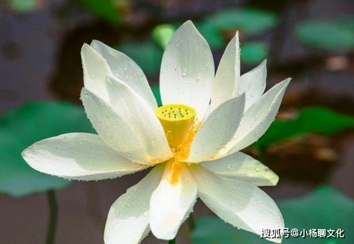 个性特点解析