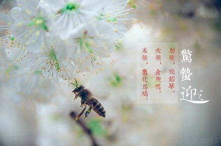 吉日的选择：迷宫般的玄学