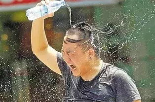 二、 乱七八糟的历史碎片（真的很乱）