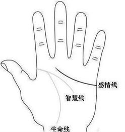 手相中三条主线分别代表什么含义？