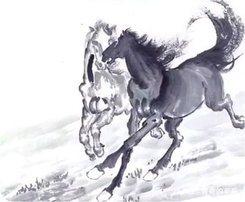 2026年属马男性婚姻运势如何？