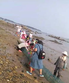 厦门自主赶海，这里海鲜崭新鲜吗？