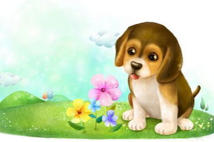 1958年属狗人2025年运势如何？2026年整体运势怎样？