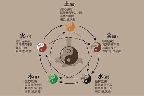 正与邪的八字特征是什么意思,正与邪的八字特征是什么