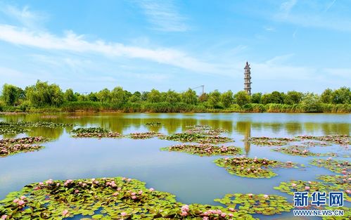 东钱湖环湖路：随心所欲的选择