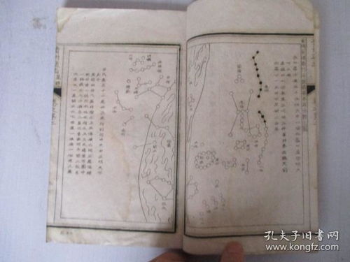 噪音填充段落