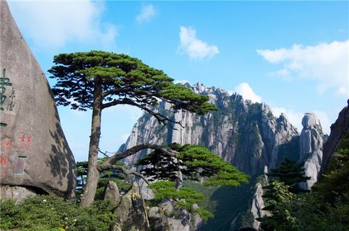 黄山——云雾里飘的那点儿“仙气”