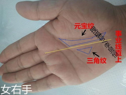 指甲长得像贝壳