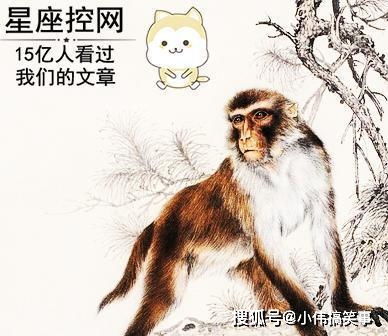 排兵布阵的生肖动物是什么？败将残兵的最佳生肖动物是？