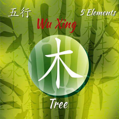 如何同过命理八字分析，精准断定一个人的性格特点？